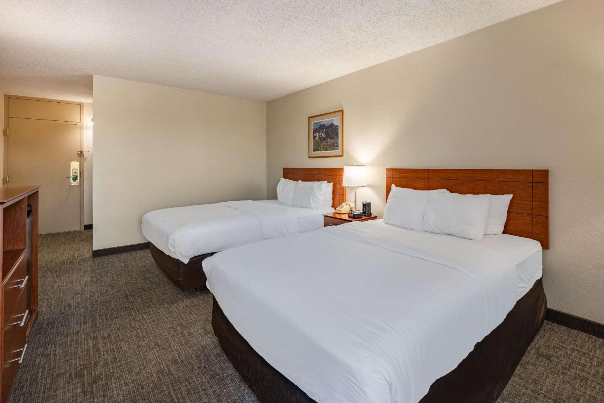 Hotel Quality & Canon 3*